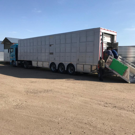 Полуприцеп скотовоз БАЛТСПЕЦМАШ БСМ 94531 с подъемными полами детальное фото - Spec-Trucks